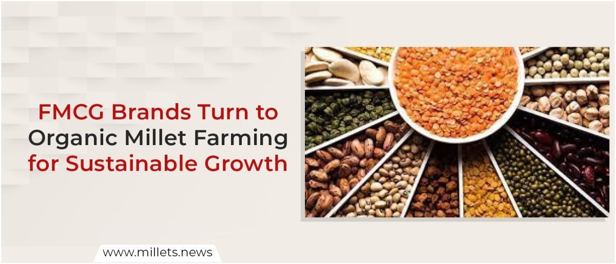 FMCG Brands Turn to Organic Millet Farming for Sustainable Growth