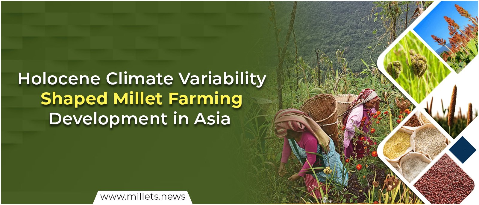 Holocene Climate Variability Shaped Millet Farming Development in Asia