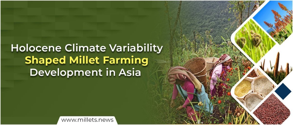 Holocene Climate Variability Shaped Millet Farming Development in Asia
