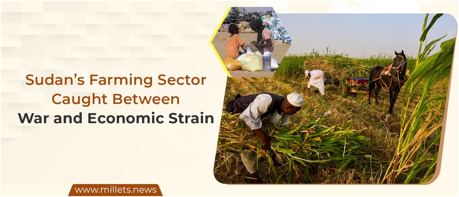 Sudan’s Farming Sector Caught Between War and Economic Strain