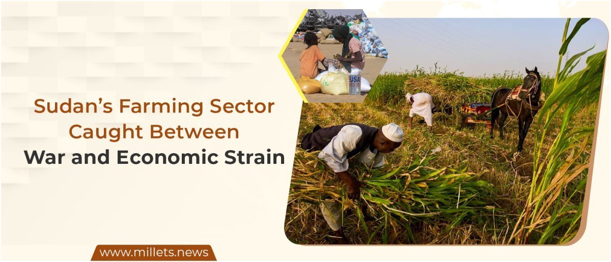 Sudan’s Farming Sector Caught Between War and Economic Strain