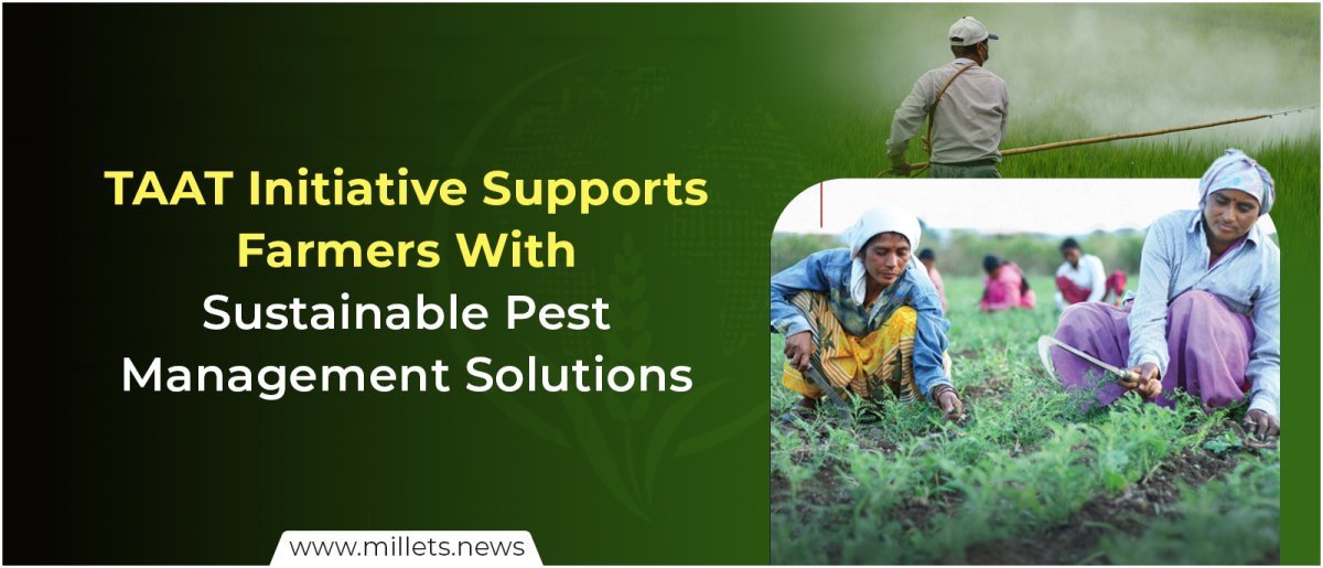 TAAT Initiative Supports Farmers With Sustainable Pest Management Solutions