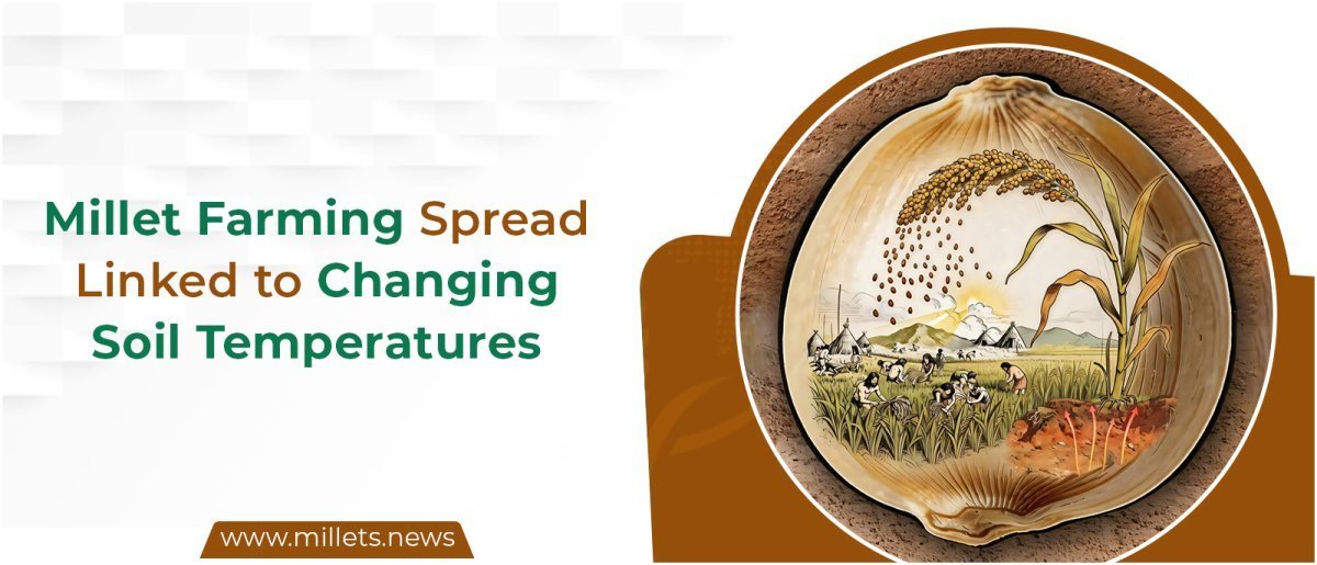 Millet Farming Spread Linked to Changing Soil Temperatures