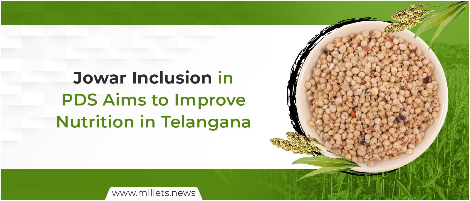 Jowar Inclusion in PDS Aims to Improve Nutrition in Telangana
