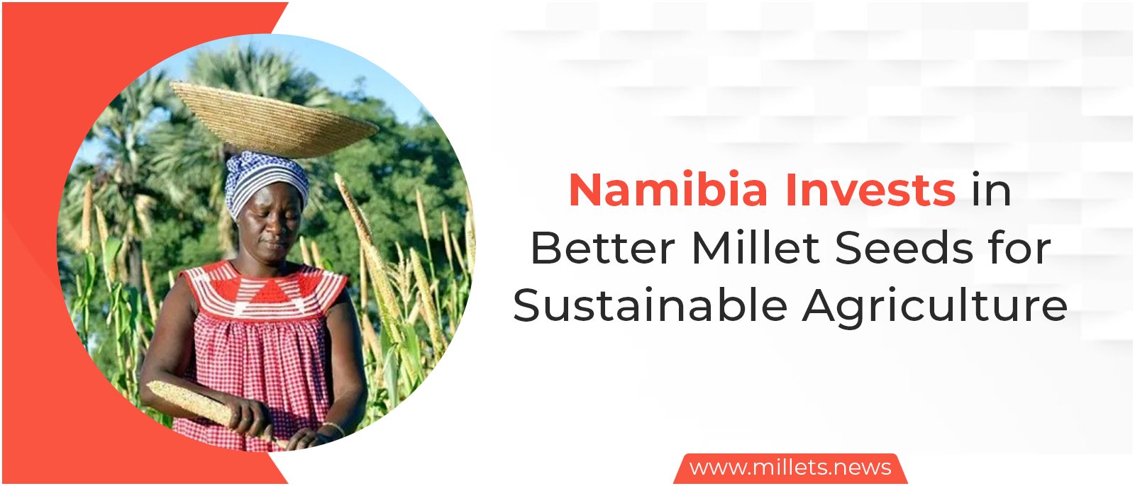 Namibia Invests in Better Millet Seeds for Sustainable Agriculture