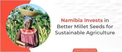 Namibia Invests in Better Millet Seeds for Sustainable Agriculture