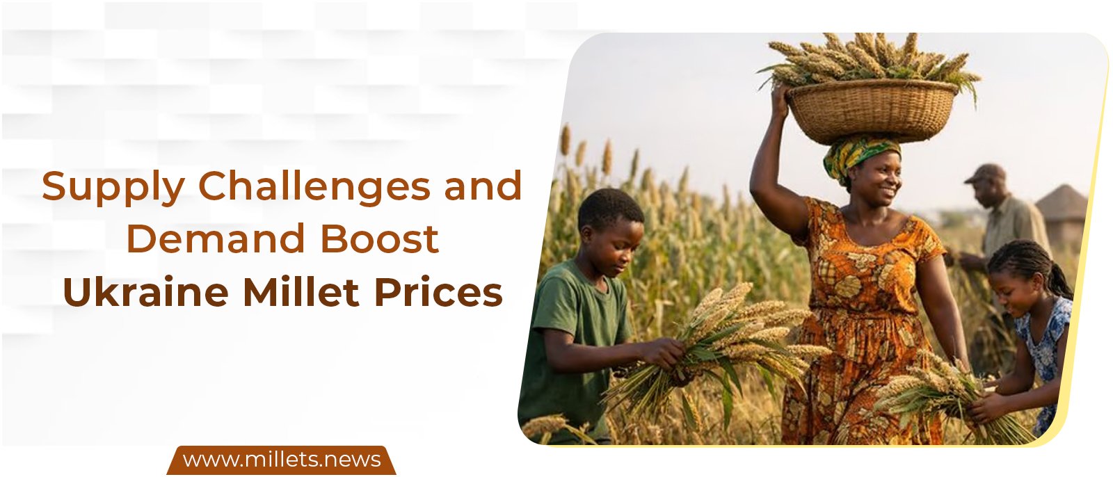 Supply Challenges and Demand Boost Ukraine Millet Prices