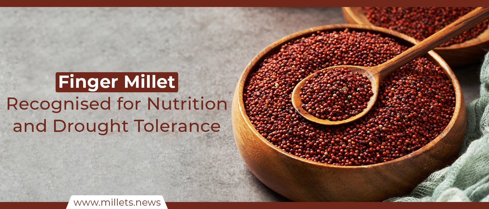 Finger Millet Recognised for Nutrition and Drought Tolerance