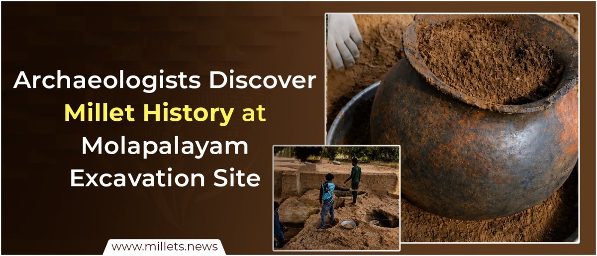 Archaeologists Discover Millet History at Molapalayam Excavation Site