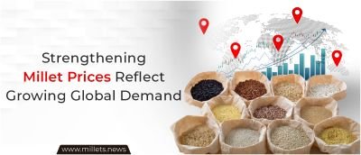 Strengthening Millet Prices Reflect Growing Global Demand