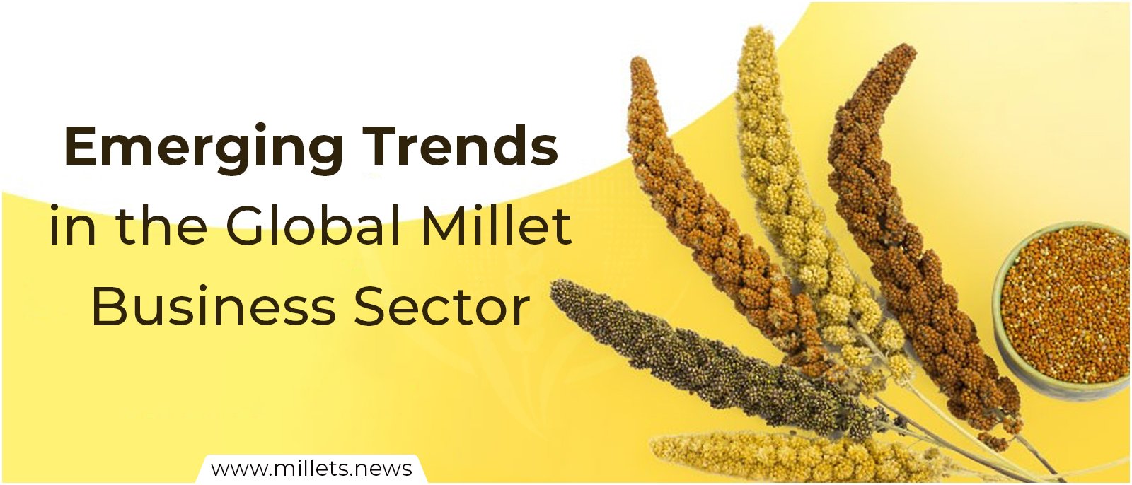 Emerging Trends in the Global Millet Business Sector