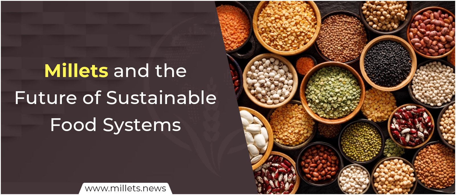 Millets and the Future of Sustainable Food Systems