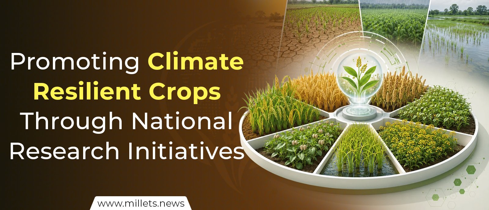 Promoting Climate-Resilient Crops Through National Research Initiatives