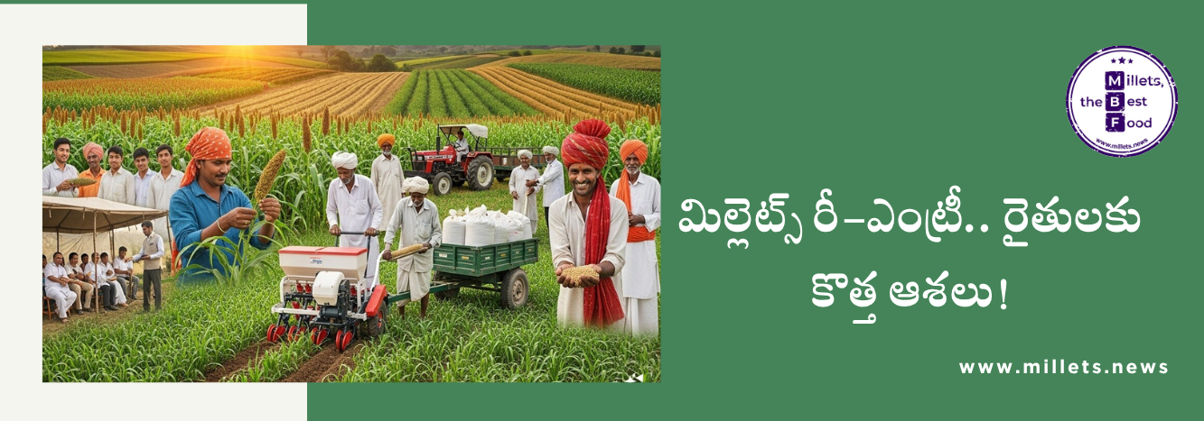 కెన్యాలో మిల్లెట్స్ మళ్లీ హిట్.. డ్రై ఏరియాస్‌ కు బెస్ట్ క్రాప్‌ గా మారింది!