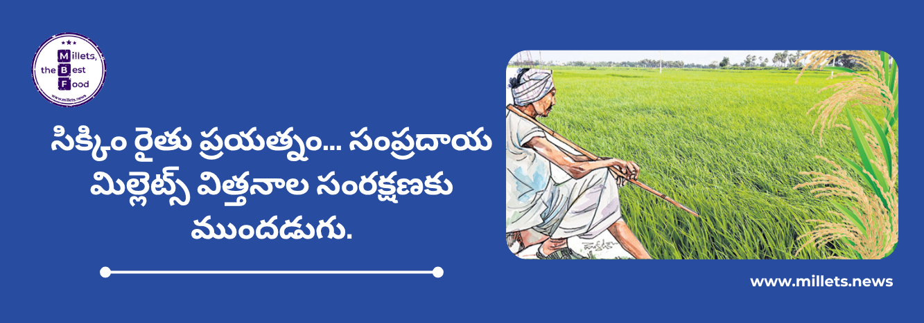 సిక్కిం రైతు ప్రయత్నం… సంప్రదాయ మిల్లెట్స్ విత్తనాల సంరక్షణకు ముందడుగు