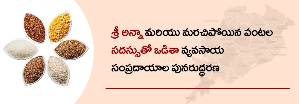 ఒడిశా వ్యవసాయ వారసత్వాన్ని స్మరించుకుంటూ: మిల్లెట్స్ మరియు మరచి పోయిన ఆహారాలపై అంతర్జాతీయ సదస్సు