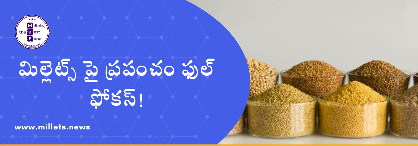 పర్యావరణ సంక్షోభంలో మిల్లెట్స్‌ కే గ్లోబల్ ప్రాధాన్యం.. భవిష్యత్ ఫుడ్‌ గా దూసుకెళ్తున్న సంప్రదాయ ధాన్యాలు!
