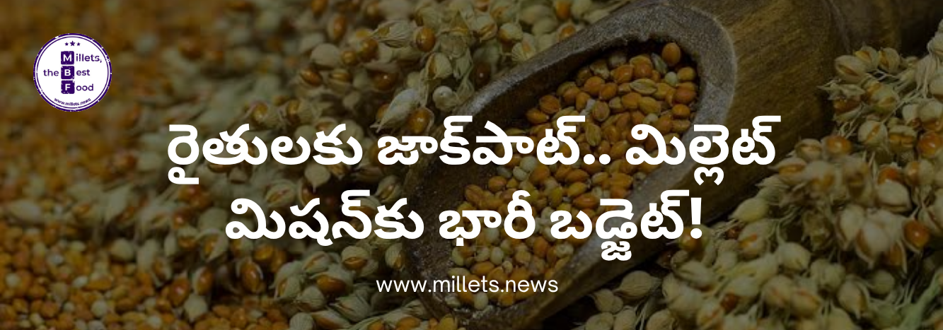 తమిళనాడు అగ్రికల్చర్ బడ్జెట్ 2026-27: 'మిల్లెట్ మిషన్' కు రూ. 63.81 కోట్లు కేటాయింపు.. 4.75 లక్షల మంది రైతులకు నేరుగా లబ్ధి!