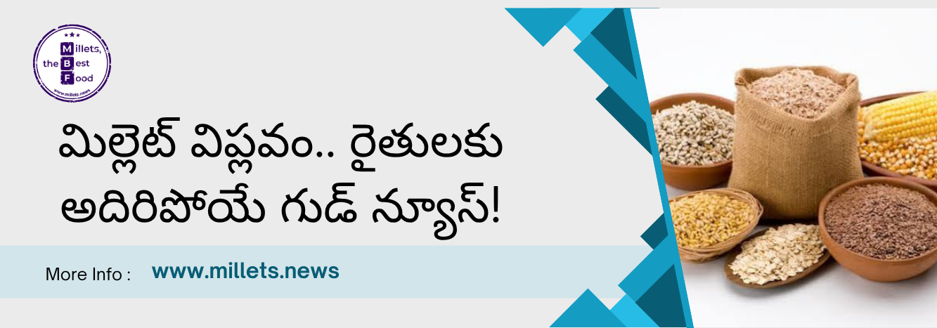 చిరుధాన్యాల సాగులో సరికొత్త అధ్యాయం.. తూర్పు భారతదేశానికే రోల్ మోడల్‌ గా 'మిల్లెట్ వాల్యూ చైన్ సెంటర్'!