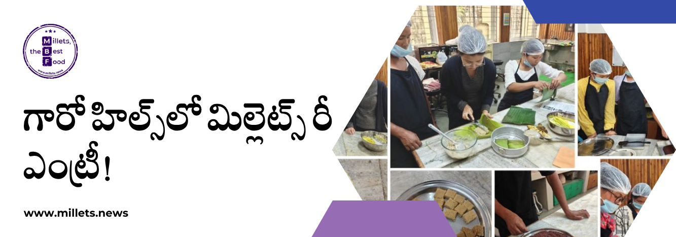 గారో హిల్స్‌లో మళ్లీ మిల్లెట్స్ హవా… వంటగదుల నుంచి మార్కెట్ల వరకు