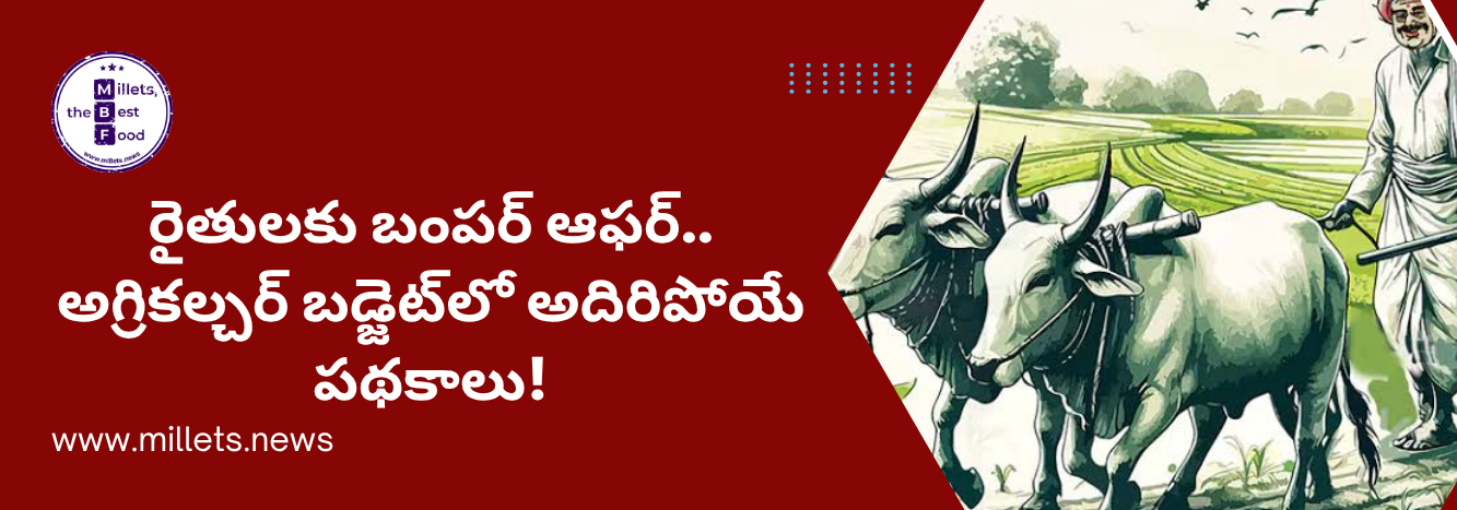 తమిళనాడు బడ్జెట్‌ లో సేంద్రీయ సాగు, మిల్లెట్స్‌ కి బిగ్ బూస్ట్.. నీలగిరి రైతుల హర్షం!