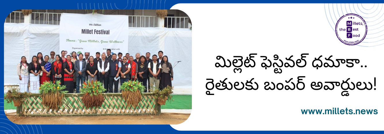 నాగాలాండ్‌లో ఘనంగా 6వ 'మిల్లెట్ ఫెస్టివల్'.. 