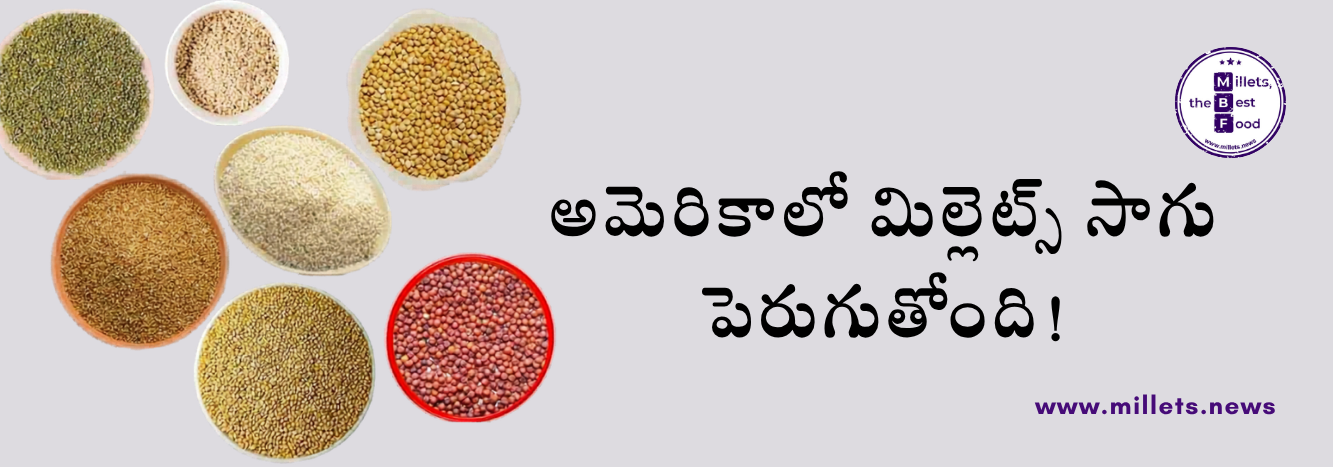నీటి కొరతతో మిల్లెట్స్ వైపు అమెరికా రైతులు.. క్లైమేట్ స్మార్ట్ ఫార్మింగ్‌కు కొత్త దారి!