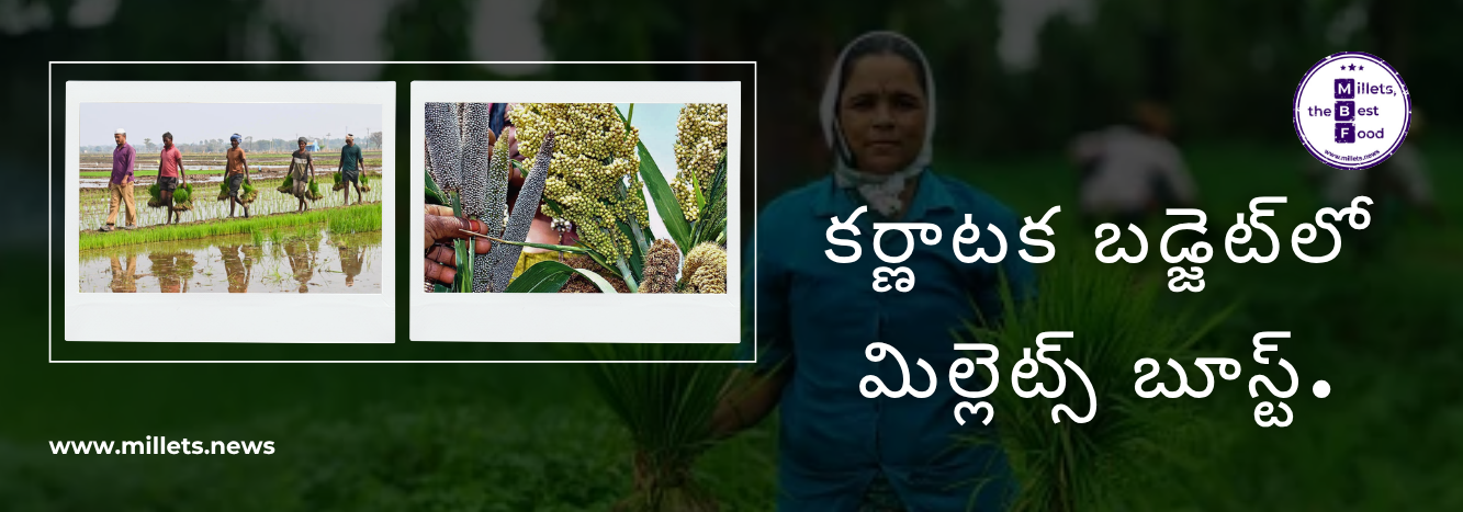 కర్ణాటక బడ్జెట్‌లో మిల్లెట్స్‌కు ప్రాధాన్యం… సుస్థిర వ్యవసాయంపై ఫోకస్
