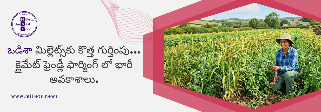 ఒడిశా మిల్లెట్స్‌కు కొత్త గుర్తింపు… క్లైమేట్ ఫ్రెండ్లీ ఫార్మింగ్‌ లో భారీ అవకాశాలు