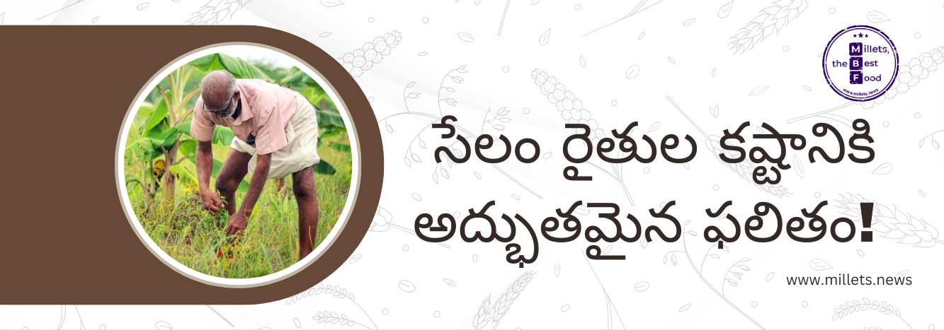  ఐదేళ్లలో సేలం జిల్లా రికార్డు – 16.22 లక్షల మెట్రిక్ టన్నుల ఆహార ధాన్యాల ఉత్పత్తి!