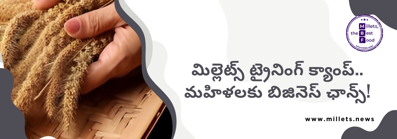మిల్లెట్ ప్రొడక్ట్స్‌ పై స్కిల్ ట్రైనింగ్.. గ్రామీణులకు కొత్త ఆదాయ మార్గాలు!