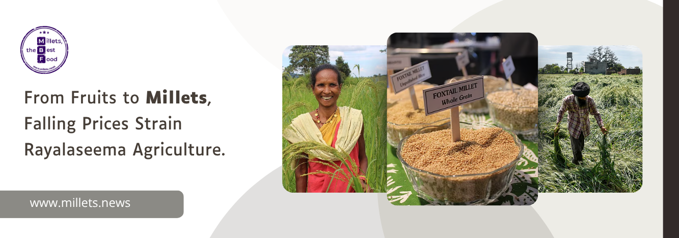 From Fruits to Millets, Falling Prices Strain Rayalaseema Agriculture 