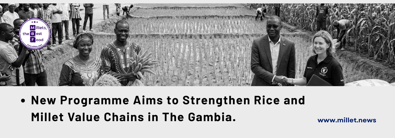 New Programme Aims to Strengthen Rice and Millet Value Chains in The Gambia