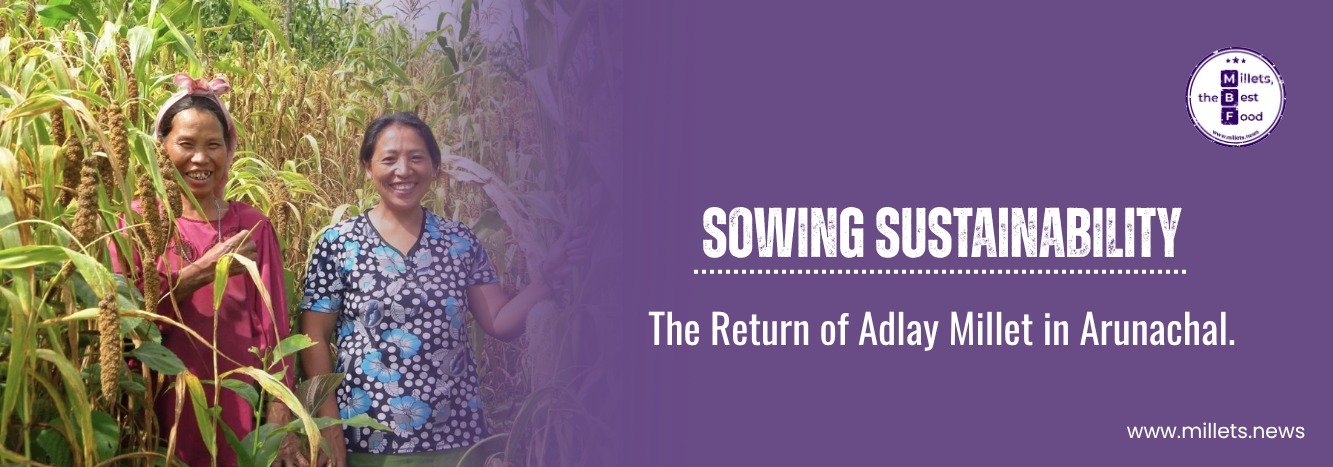 Sowing Sustainability: The Return of Adlay Millet in Arunachal