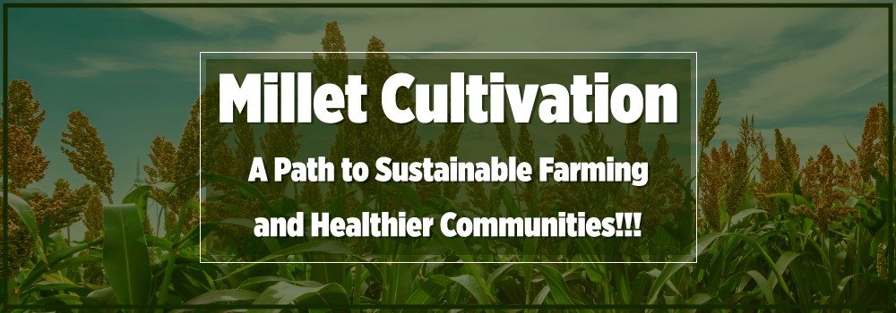 Millet Cultivation: A Path to Sustainable Farming and Healthier Communities!!!