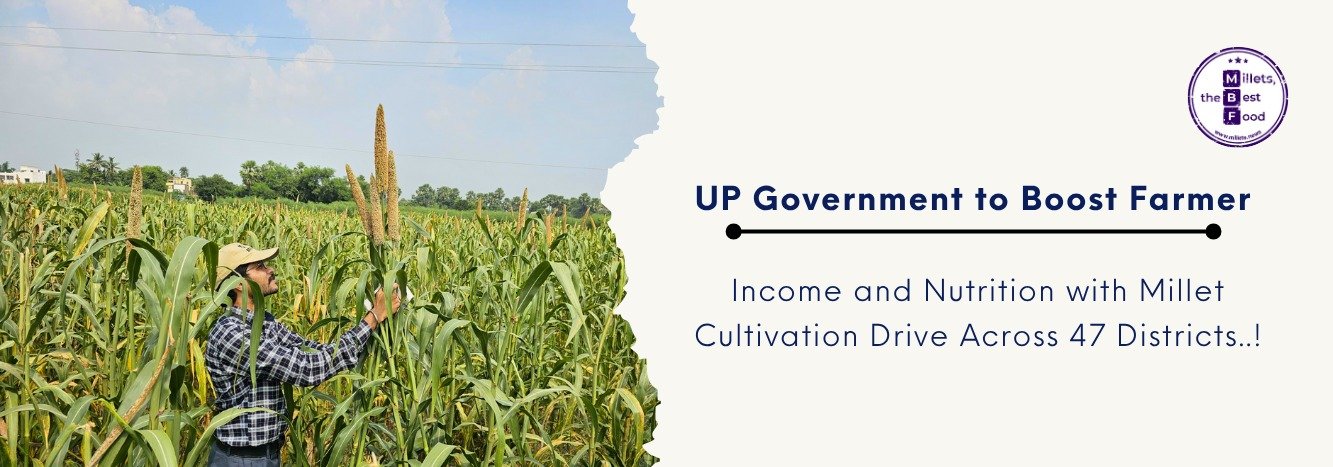 UP Government to Boost Farmer Income and Nutrition with Millet Cultivation Drive Across 47 Districts