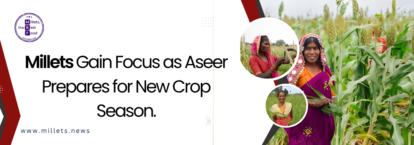 Millets Gain Focus as Aseer Prepares for New Crop Season