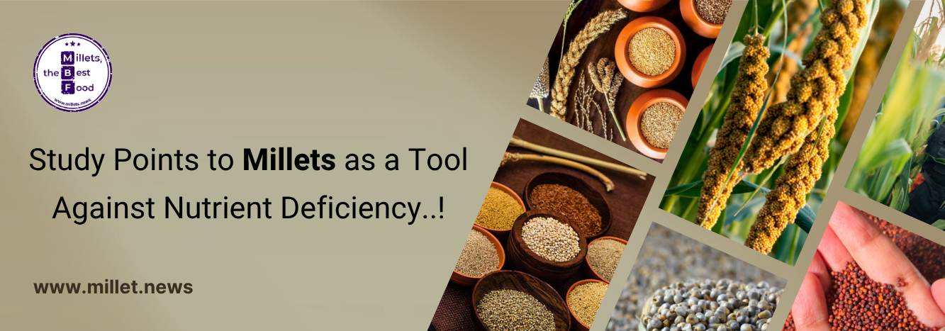 Study Points to Millets as a Tool Against Nutrient Deficiency