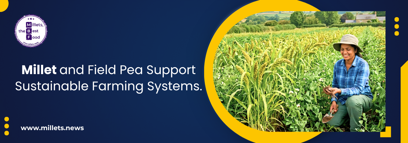 Millet and Field Pea Support Sustainable Farming Systems