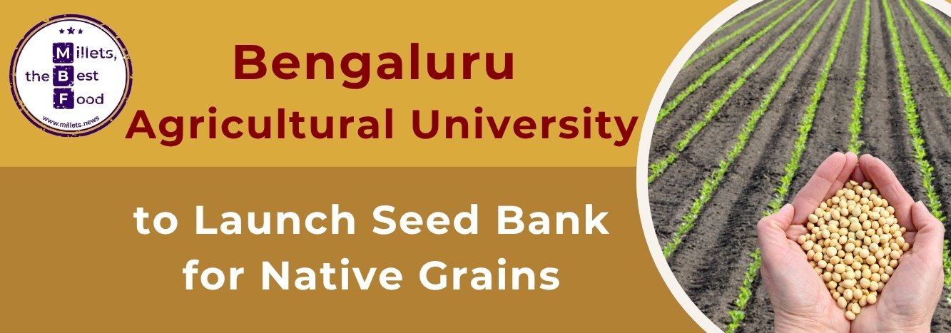 Bengaluru Agricultural University to Launch Seed Bank for Native Grains