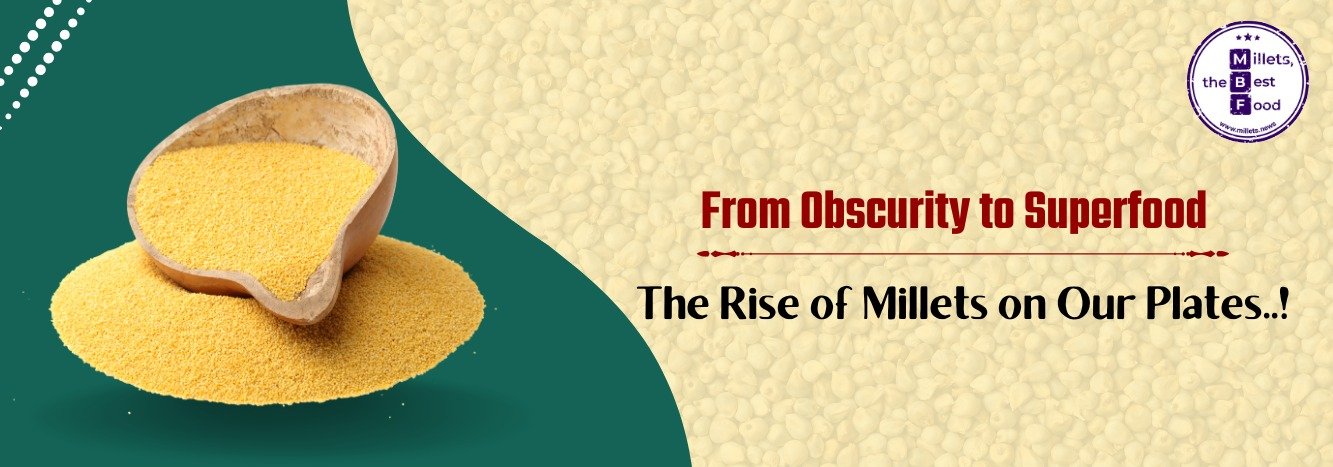 From Obscurity to Superfood: The Rise of Millets on Our Plates