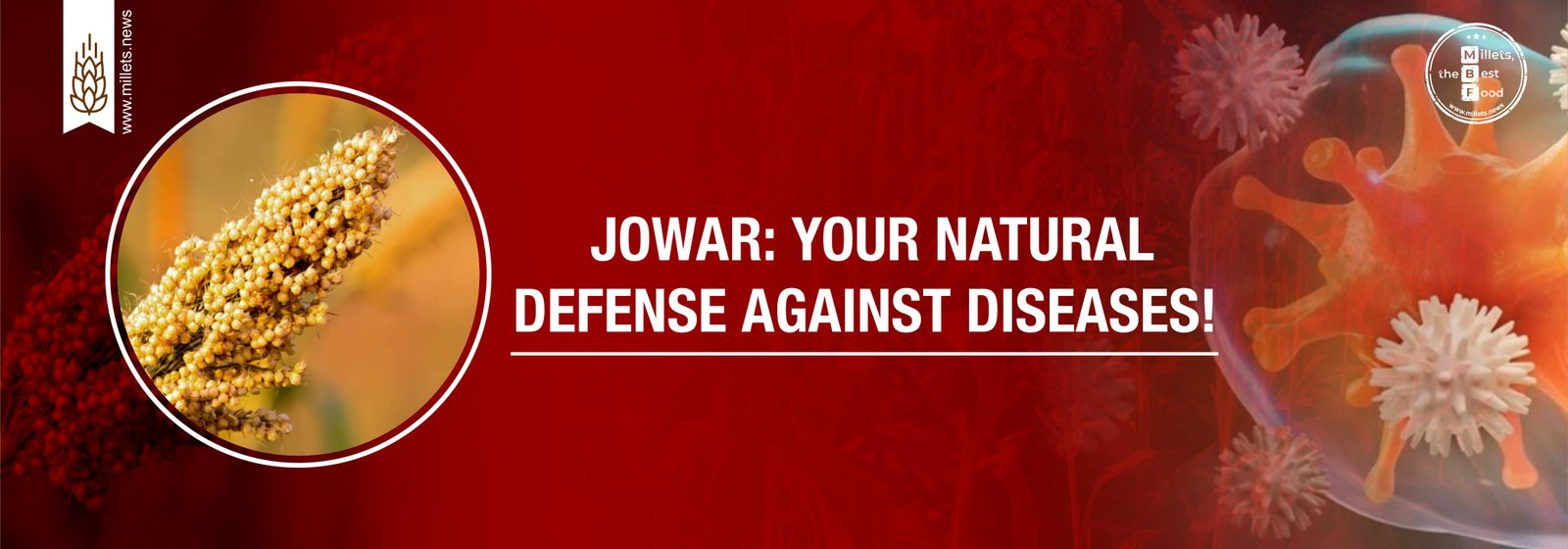 Jowar: Your Natural Defense Against Diseases!