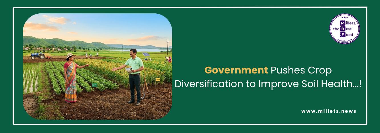 Government Pushes Crop Diversification to Improve Soil Health