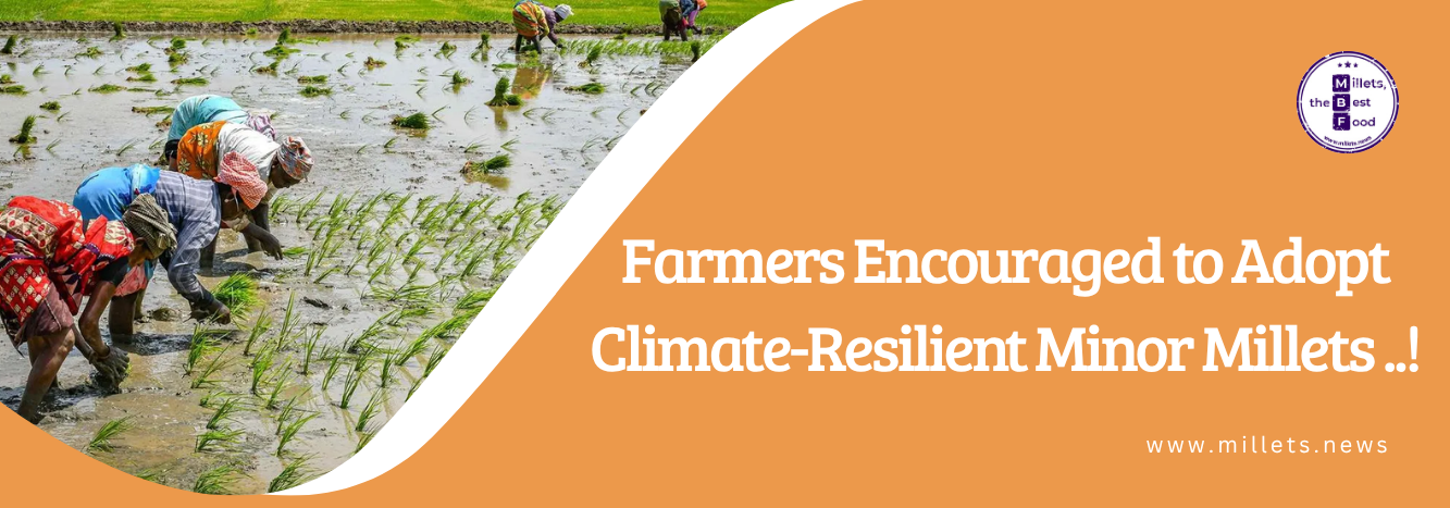 Farmers Encouraged to Adopt Climate-Resilient Minor Millets 