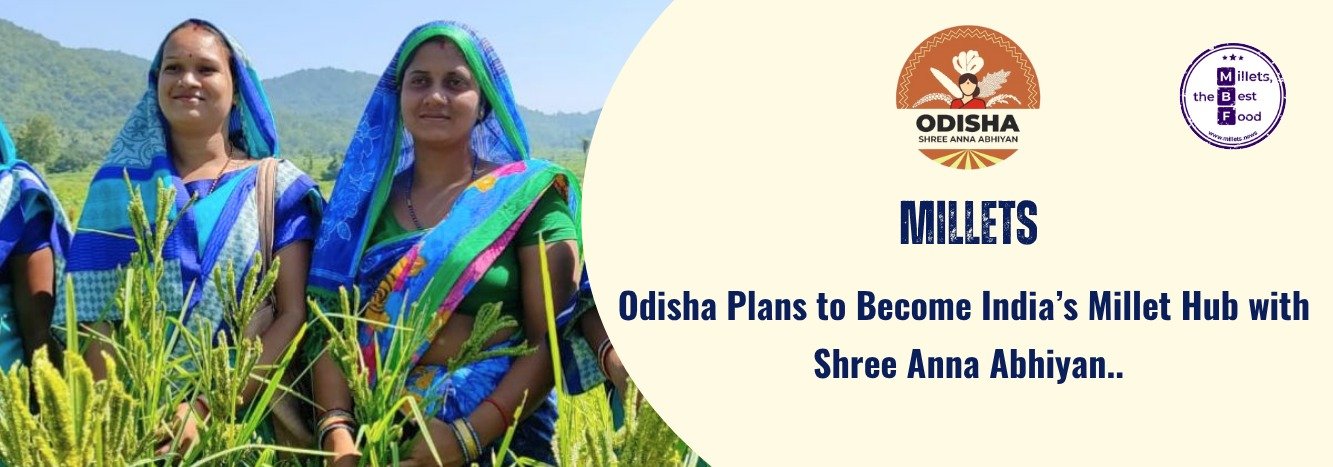 Odisha Plans to Become India’s Millet Hub with ‘Shree Anna Abhiyan’