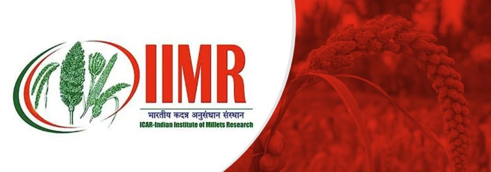 ICAR-IIMR Advances Millet Research and Industry Collaboration for New Varieties