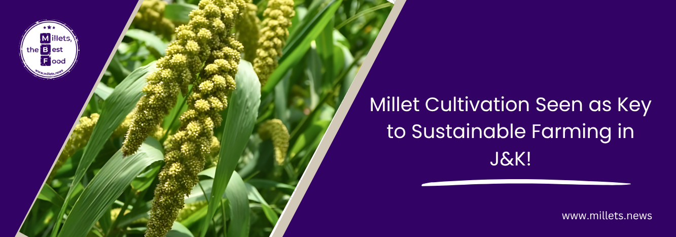  Millet Cultivation Seen as Key to Sustainable Farming in J&K