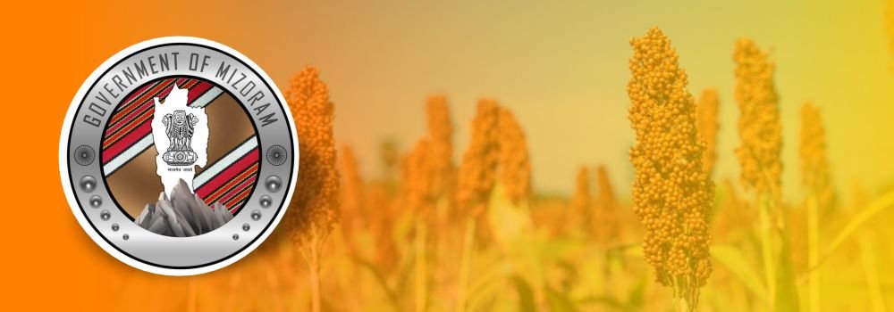 Mizoram Govt to Boost Millet Production Efforts