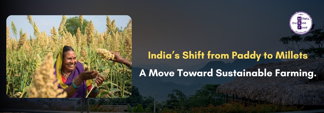 India’s Shift from Paddy to Millets: A Move Toward Sustainable Farming