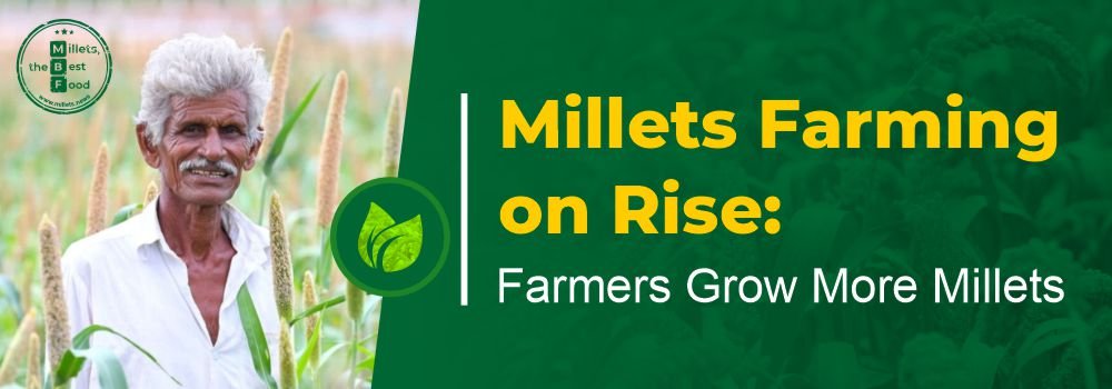 Millet Farming on Rise: Farmers Grow More Millets